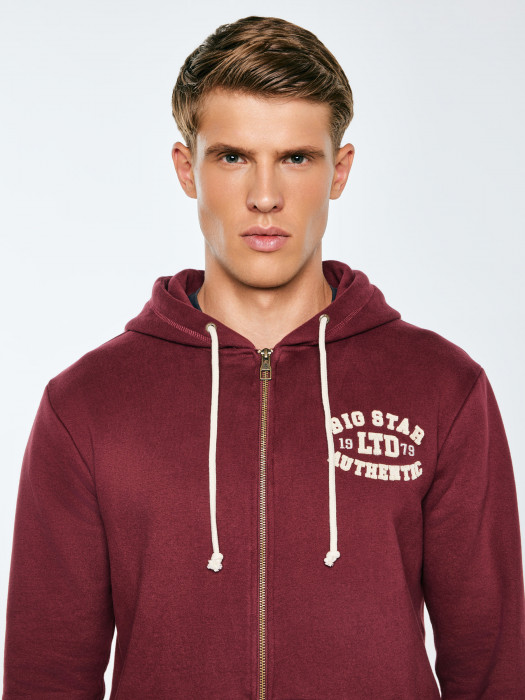 Pánska mikina KAROL 604